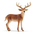 Schleich North America Brn/Wht Tailed Buck 14818
